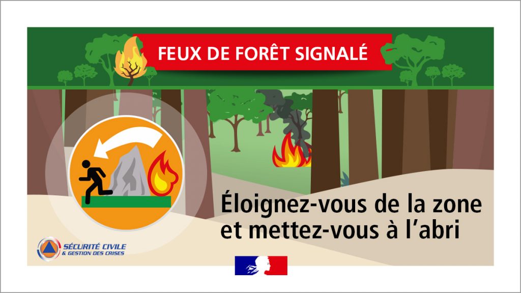 Infographie feux de forêt 2021. Portfolio Bruno Lemaistre graphiste